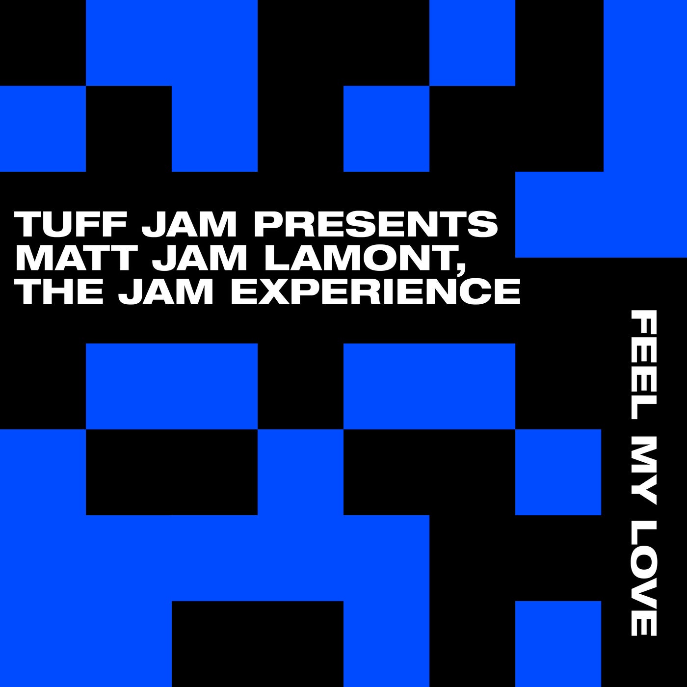Feel My Love (Tuff Jam & Matt Jam Lamont Present The Jam Experience)