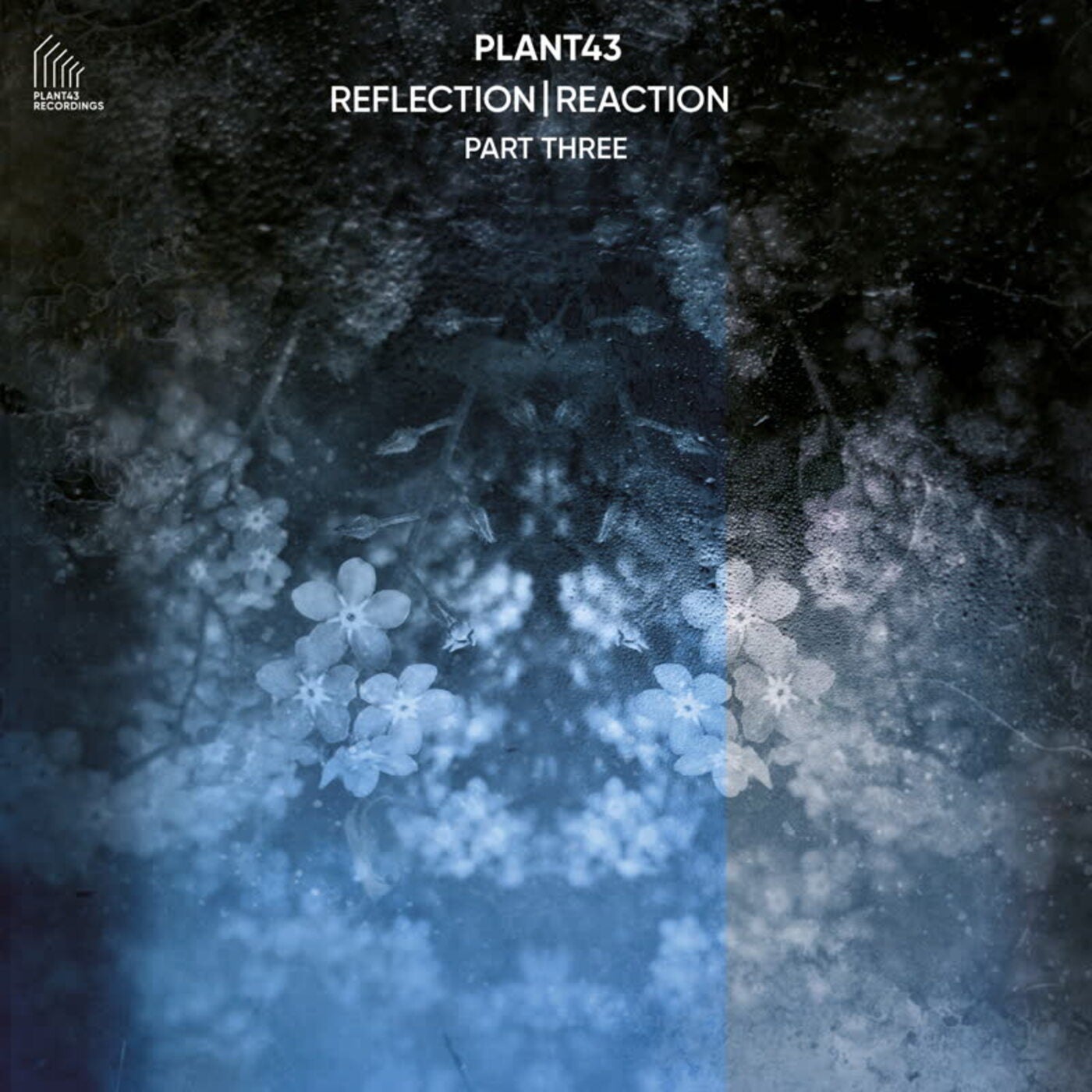 Reflection | Reaction - Part Three