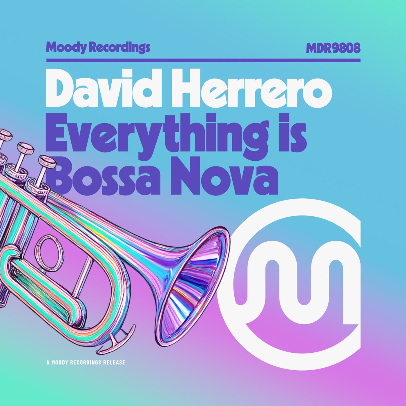 Everything Is Bossa Nova