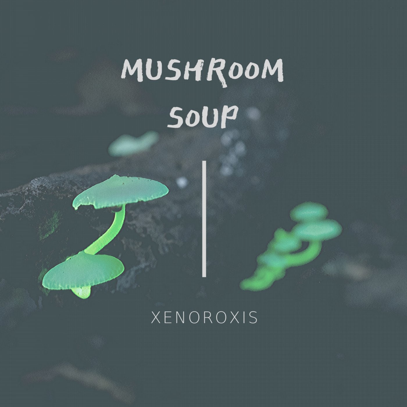 Mushroom Soup