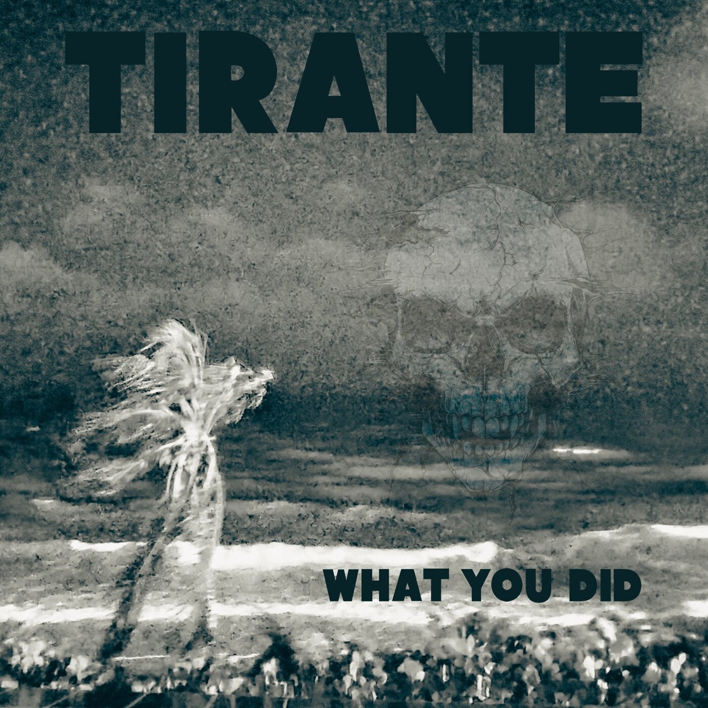 What you did