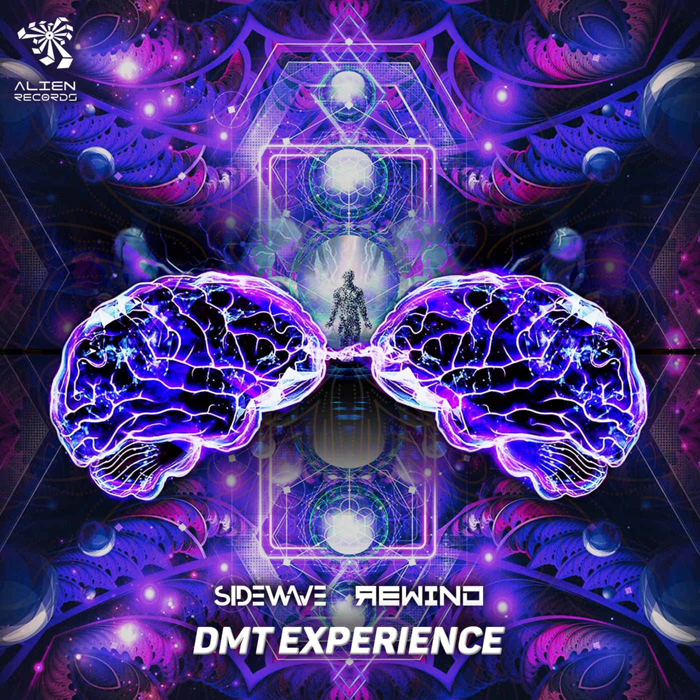 DMT Experience