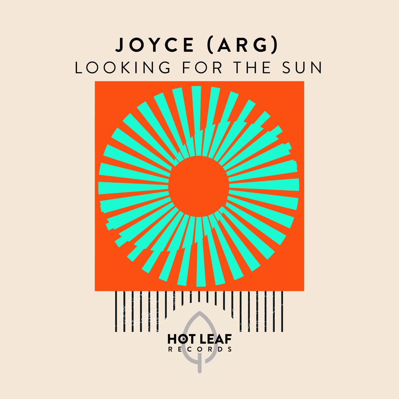 Looking For The Sun