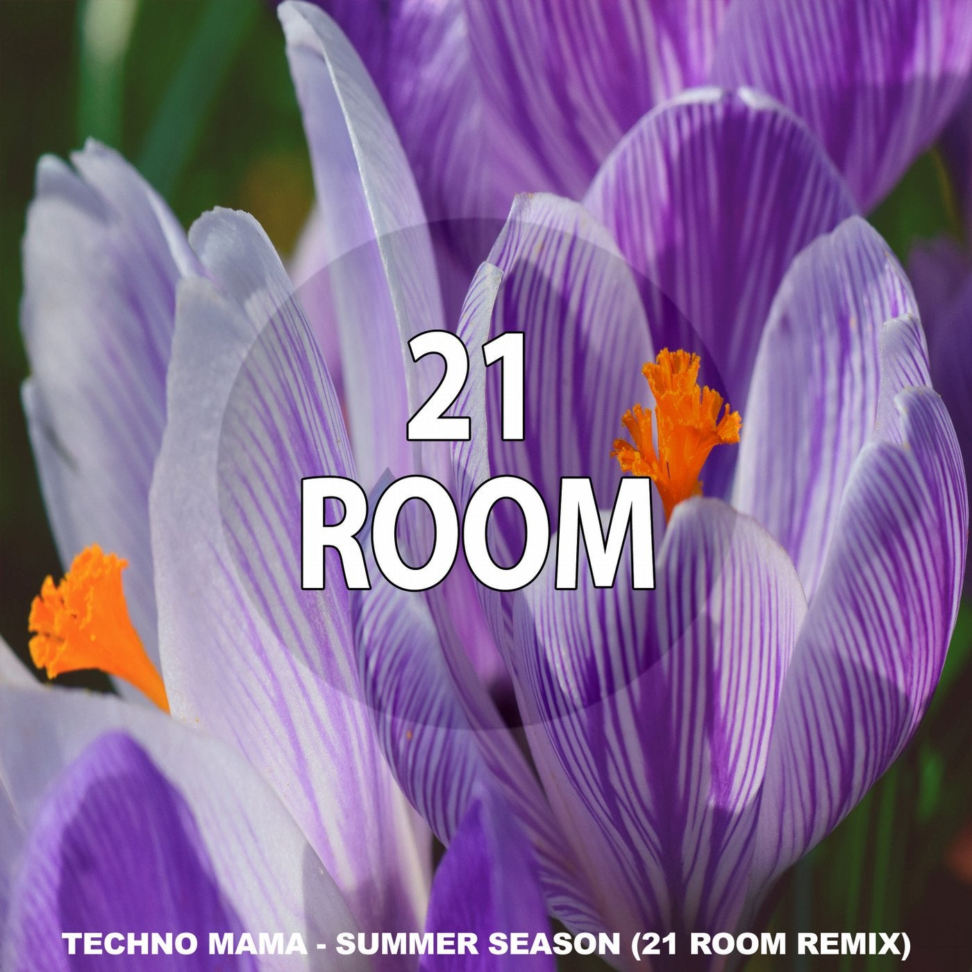 Summer Season (Remixes)