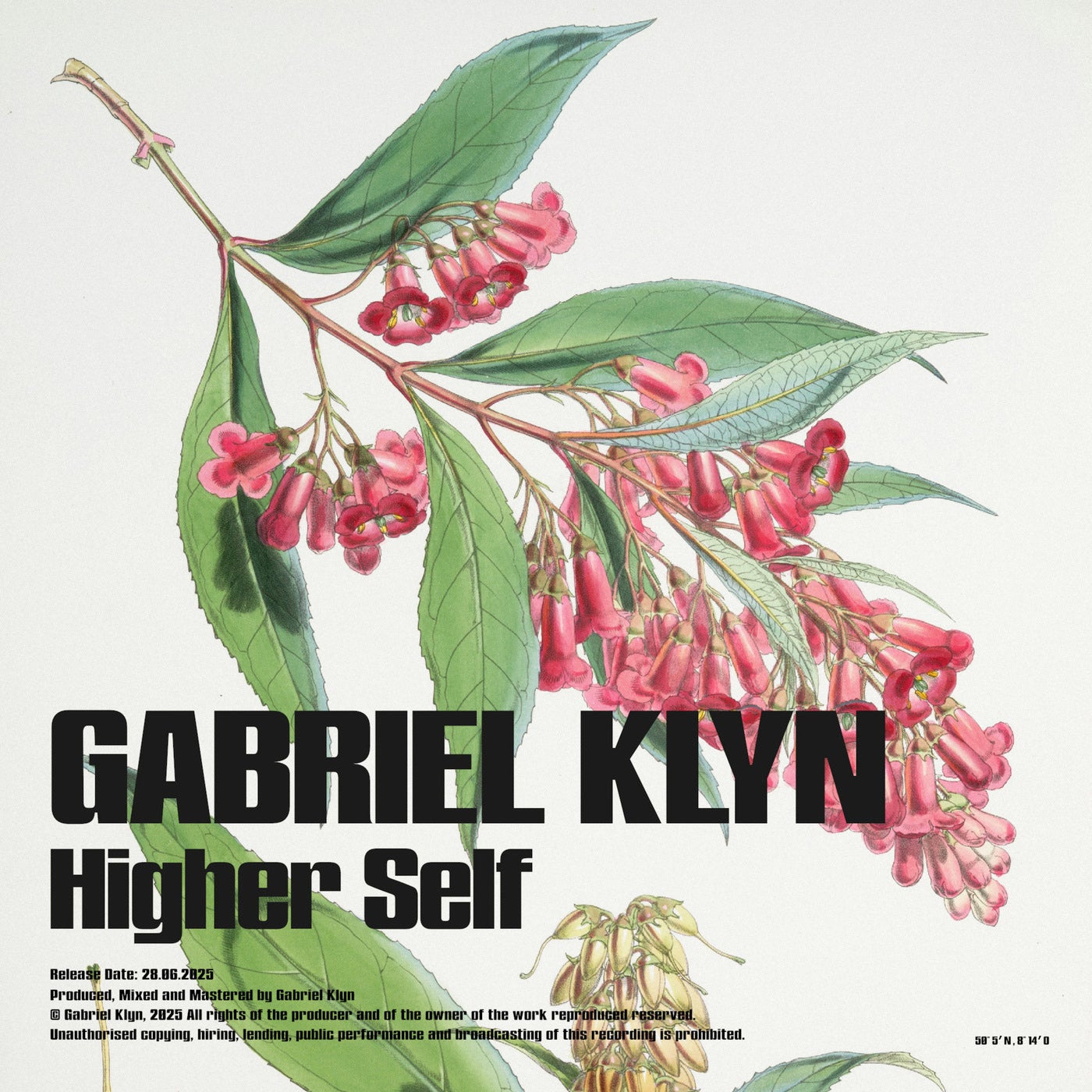 Higher Self