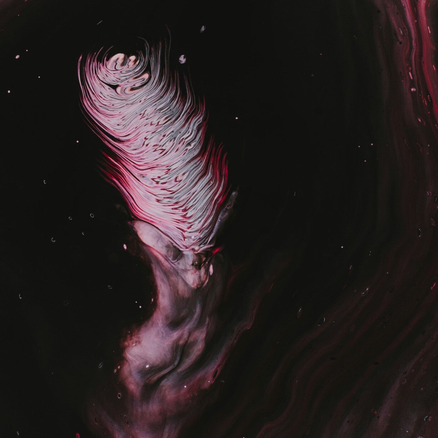 Ephemera