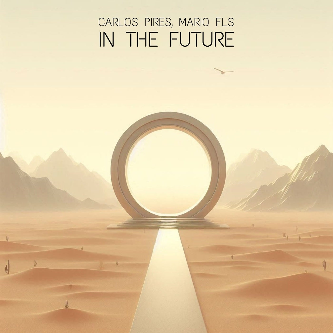 In The Future