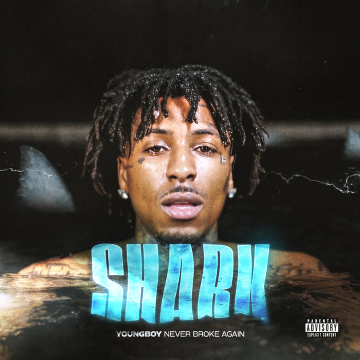 Cover art for Shark