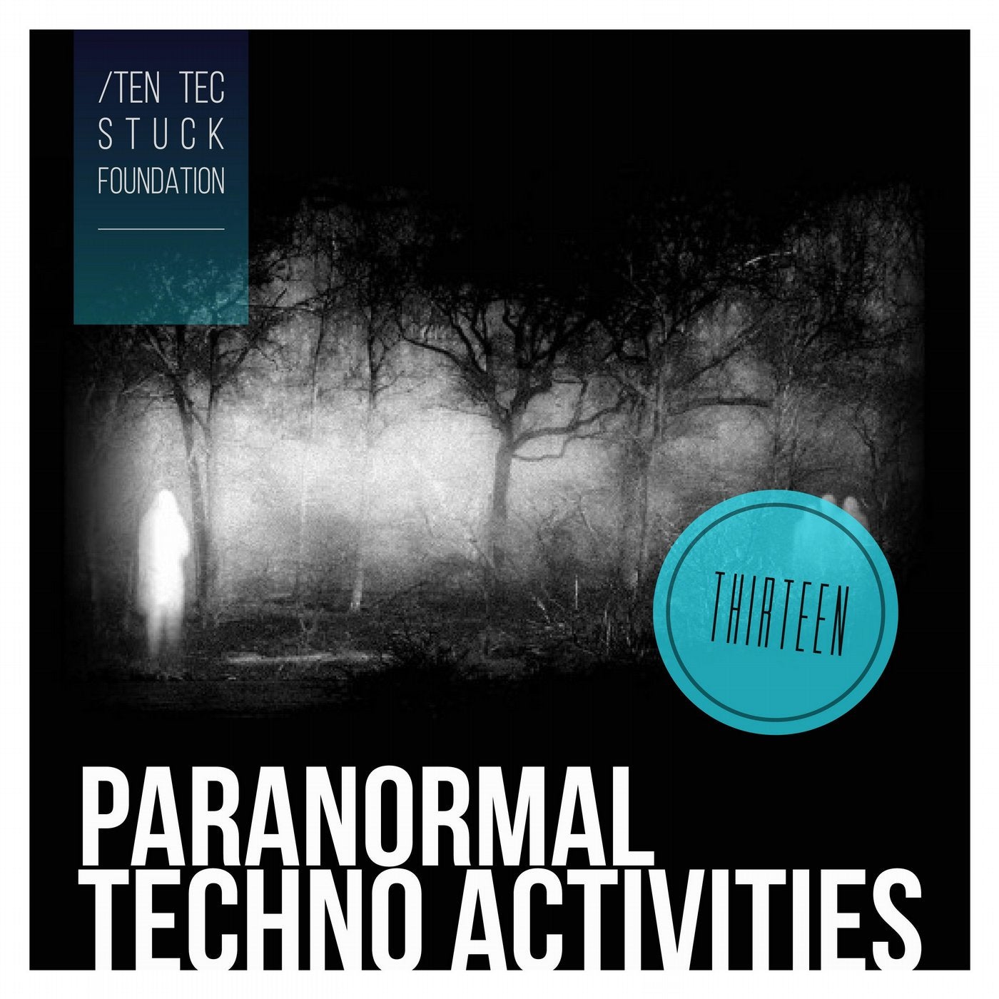 Paranormal Techno Activities - THIRTEEN