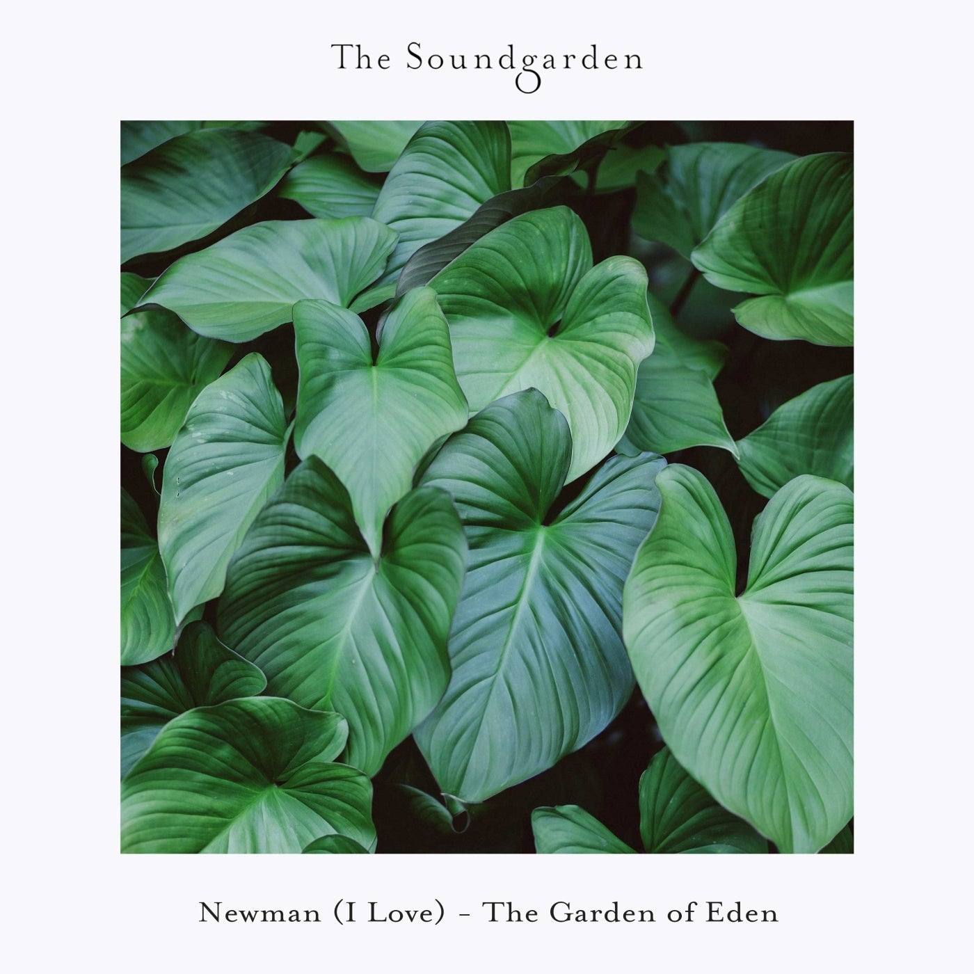 The Garden of Eden