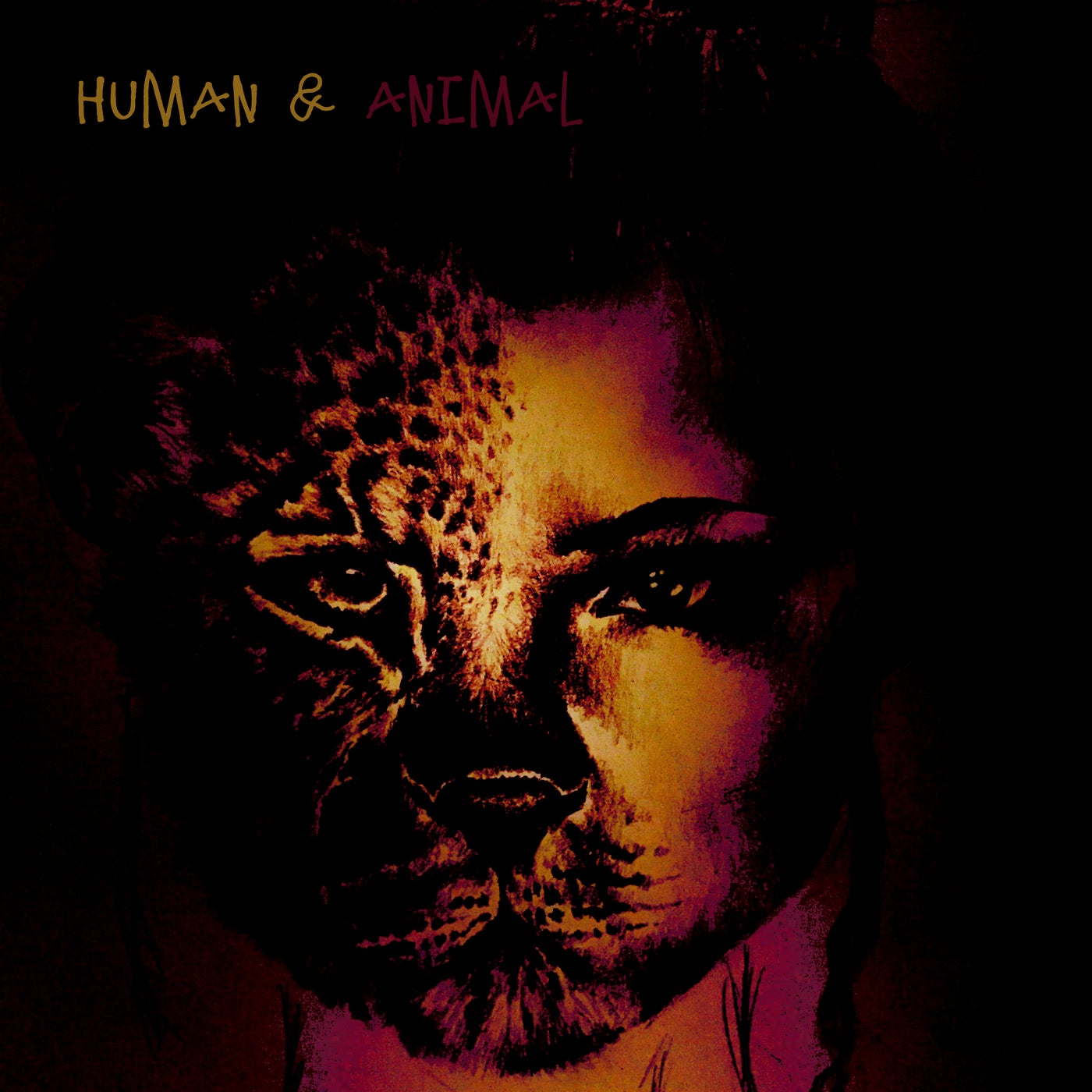 Hyman & Animal