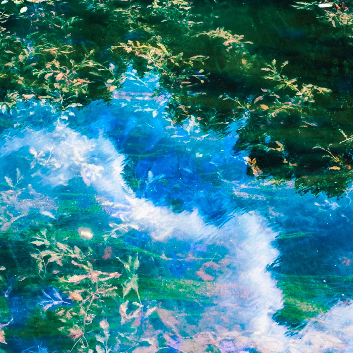 Daydream