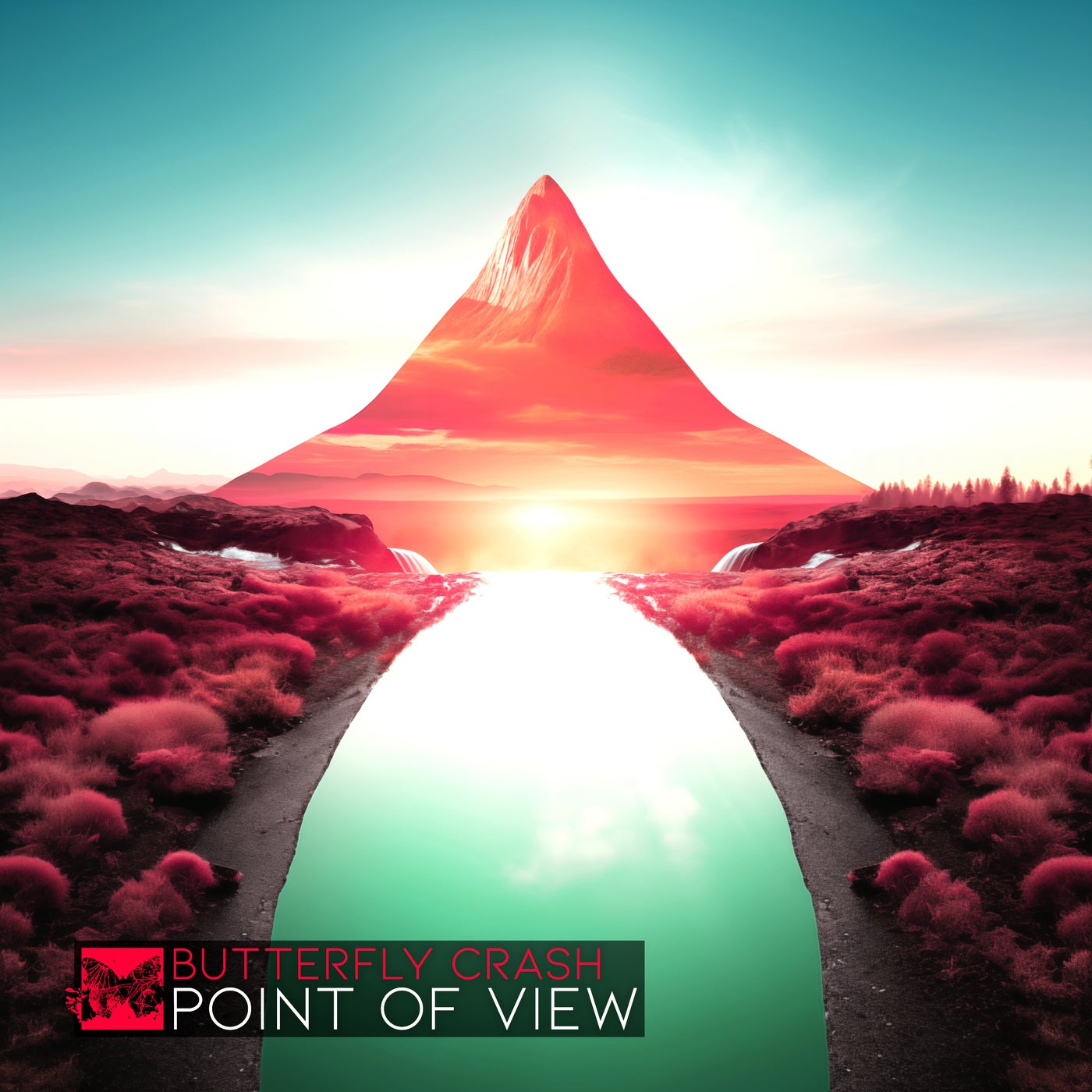 Point of View