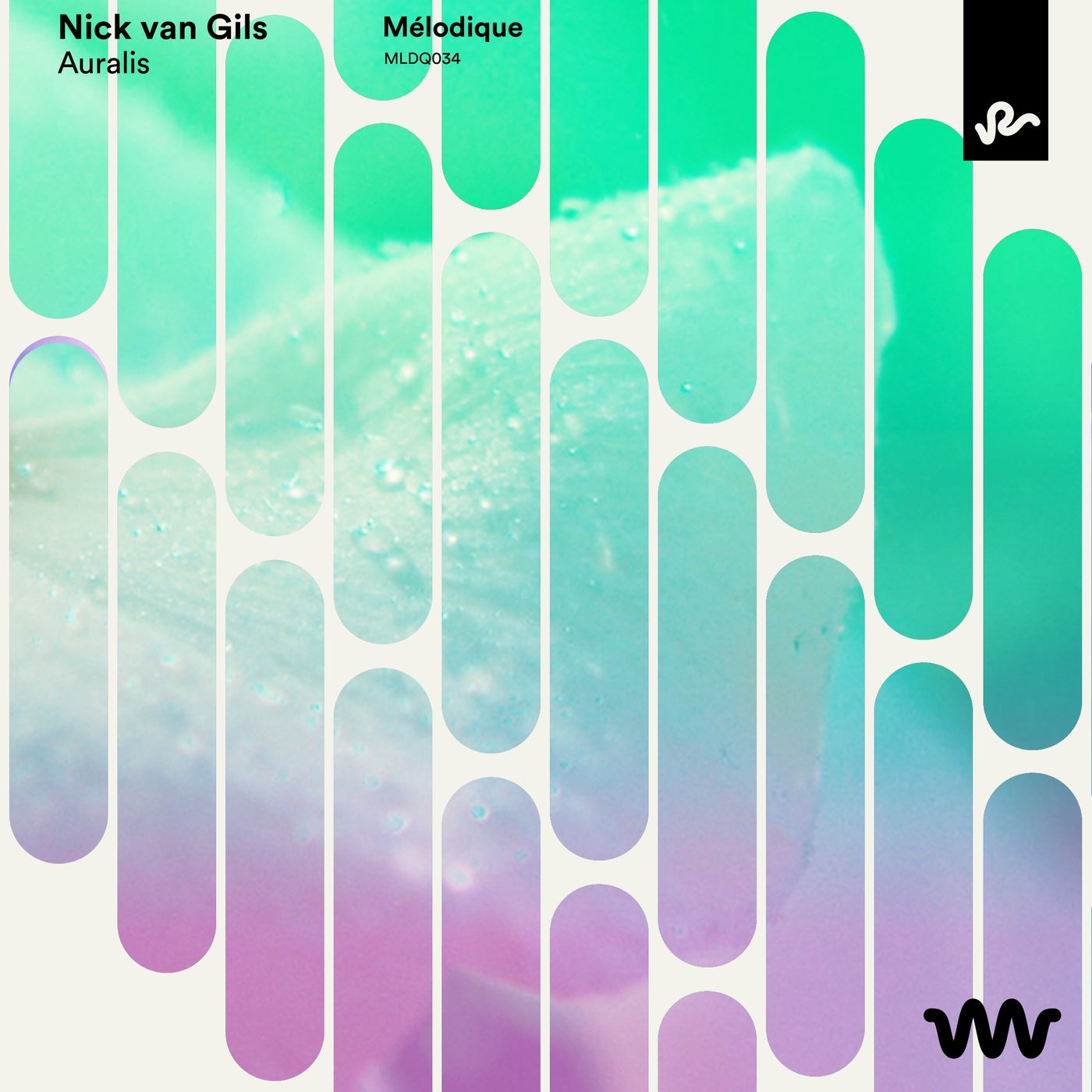 Nick van Gils - Auralis