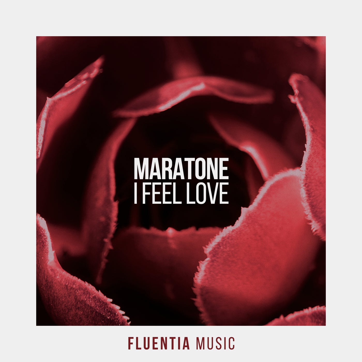 www.beatport.com