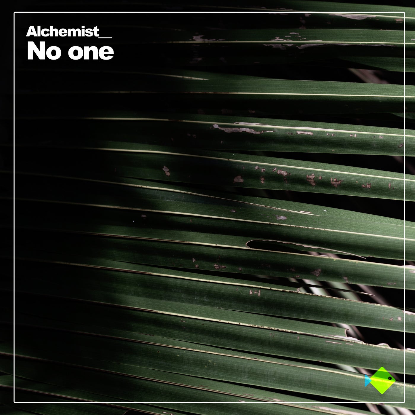 No One