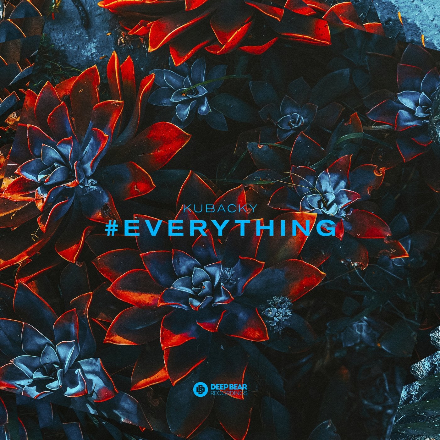 #EVERYTHING