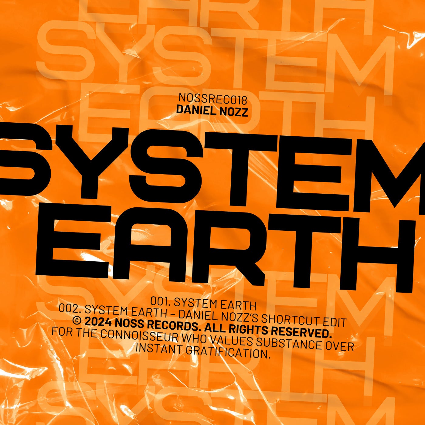System Earth
