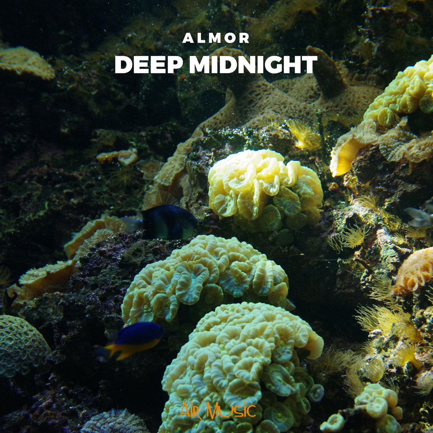 Deep Midnight