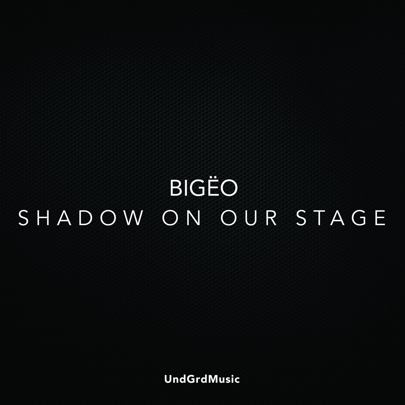 Shadow On Our Stage