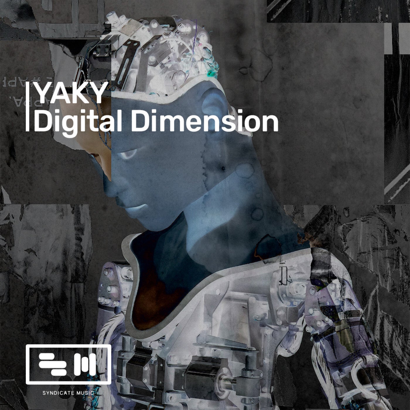 Digital Dimension