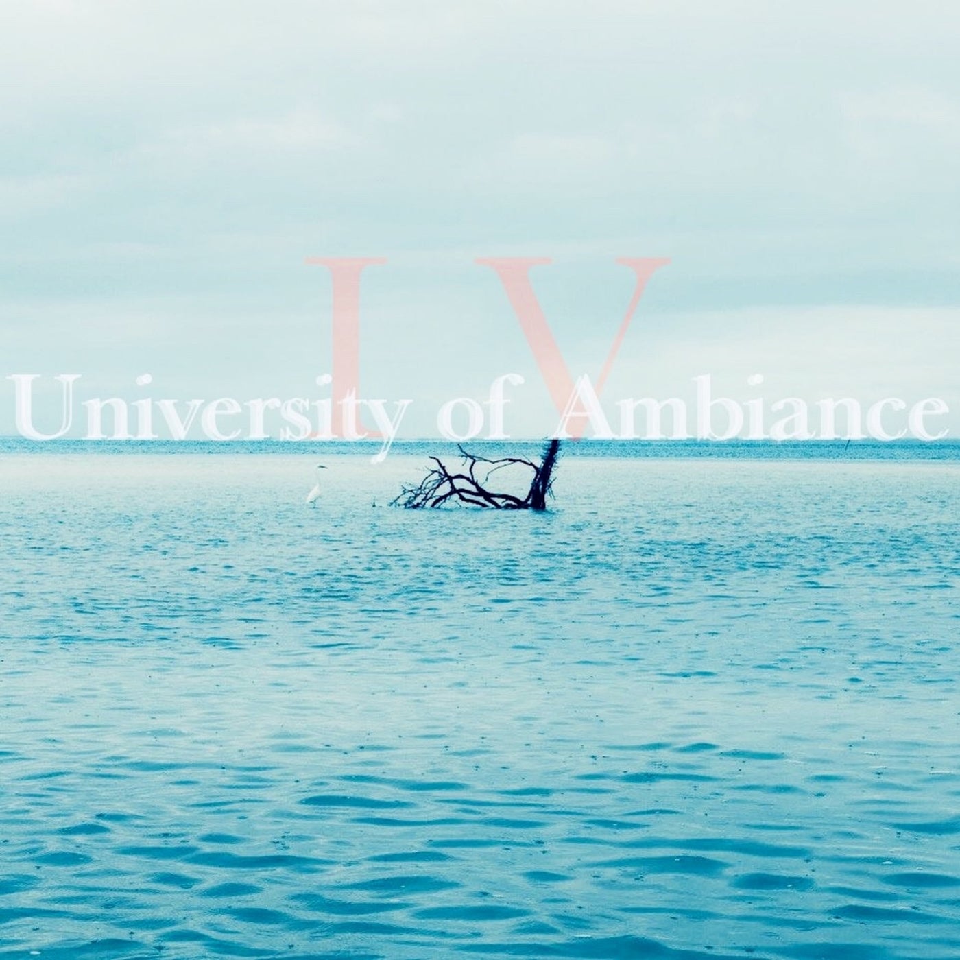 University of Ambiance, Vol. 4