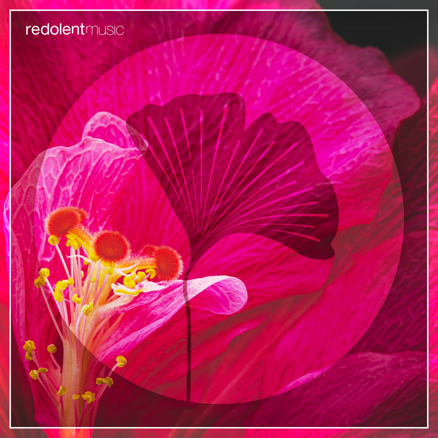 La Danza Remixes
