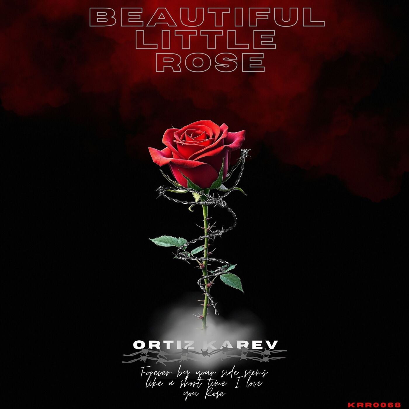 Beatuiful Little Rose