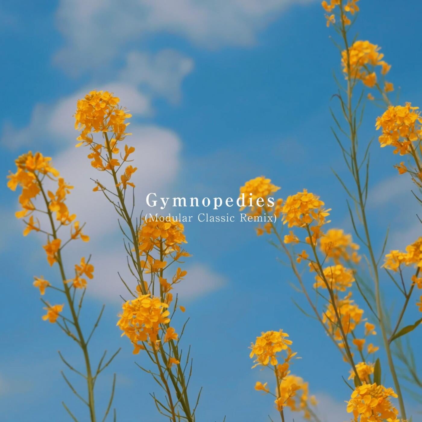 Gymnopedies(Modular Classic Remix)