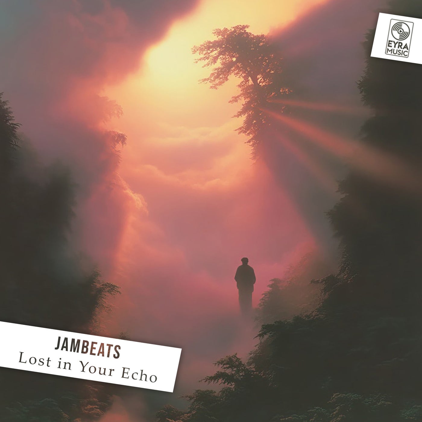 Lost in Your Echo