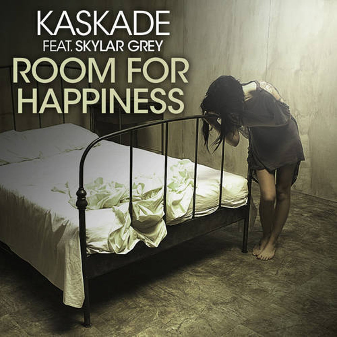 Room For Happiness (feat. Skylar Grey)