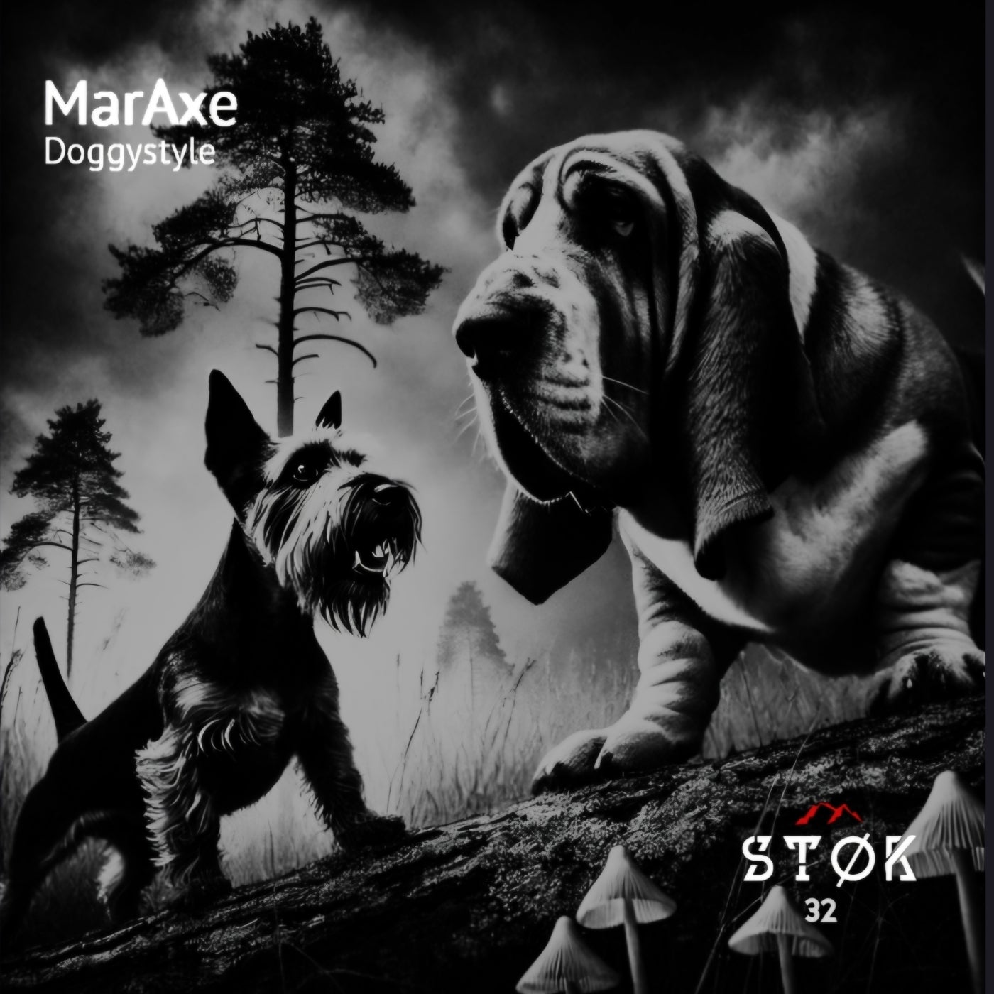 Cover art for Doggystyle