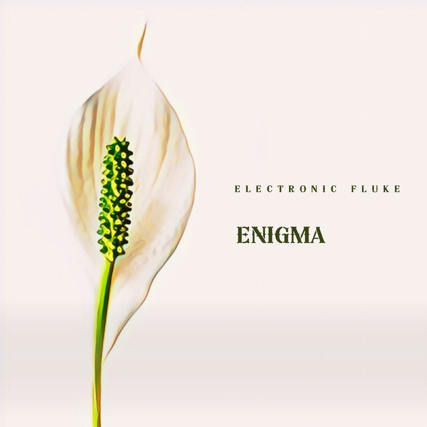 Enigma