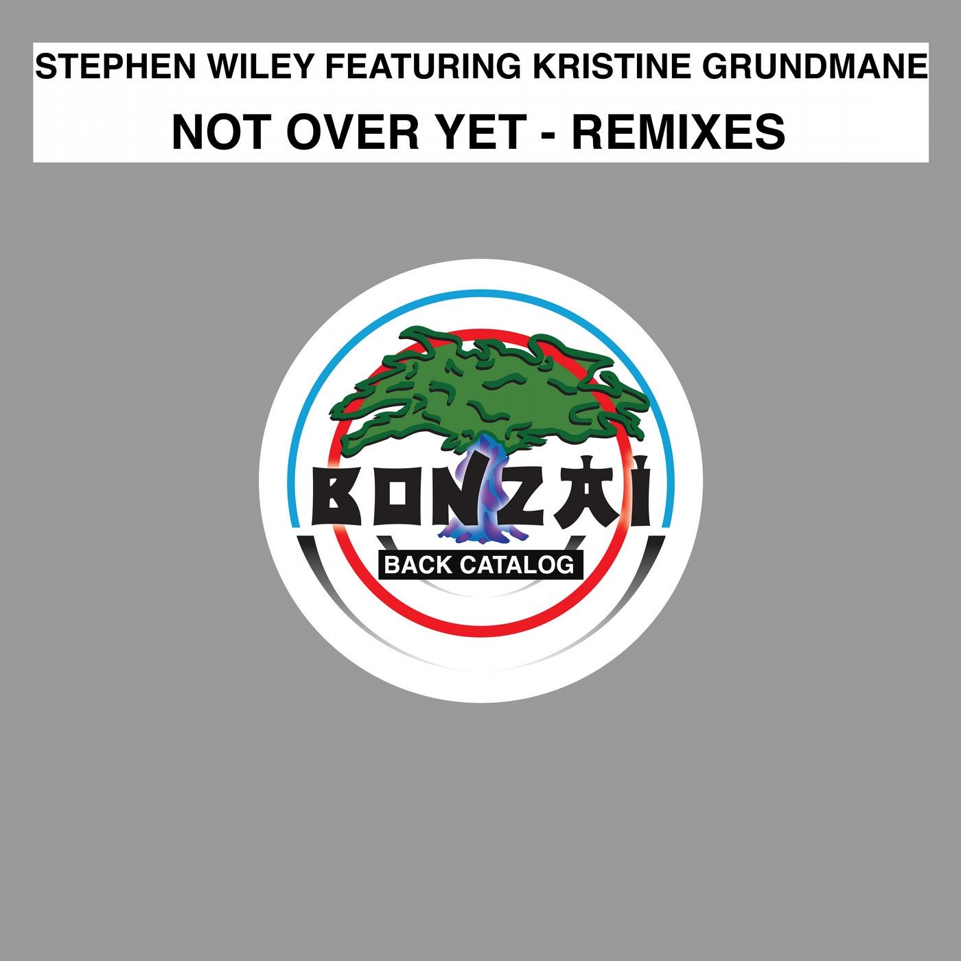 Not Over Yet - Remixes