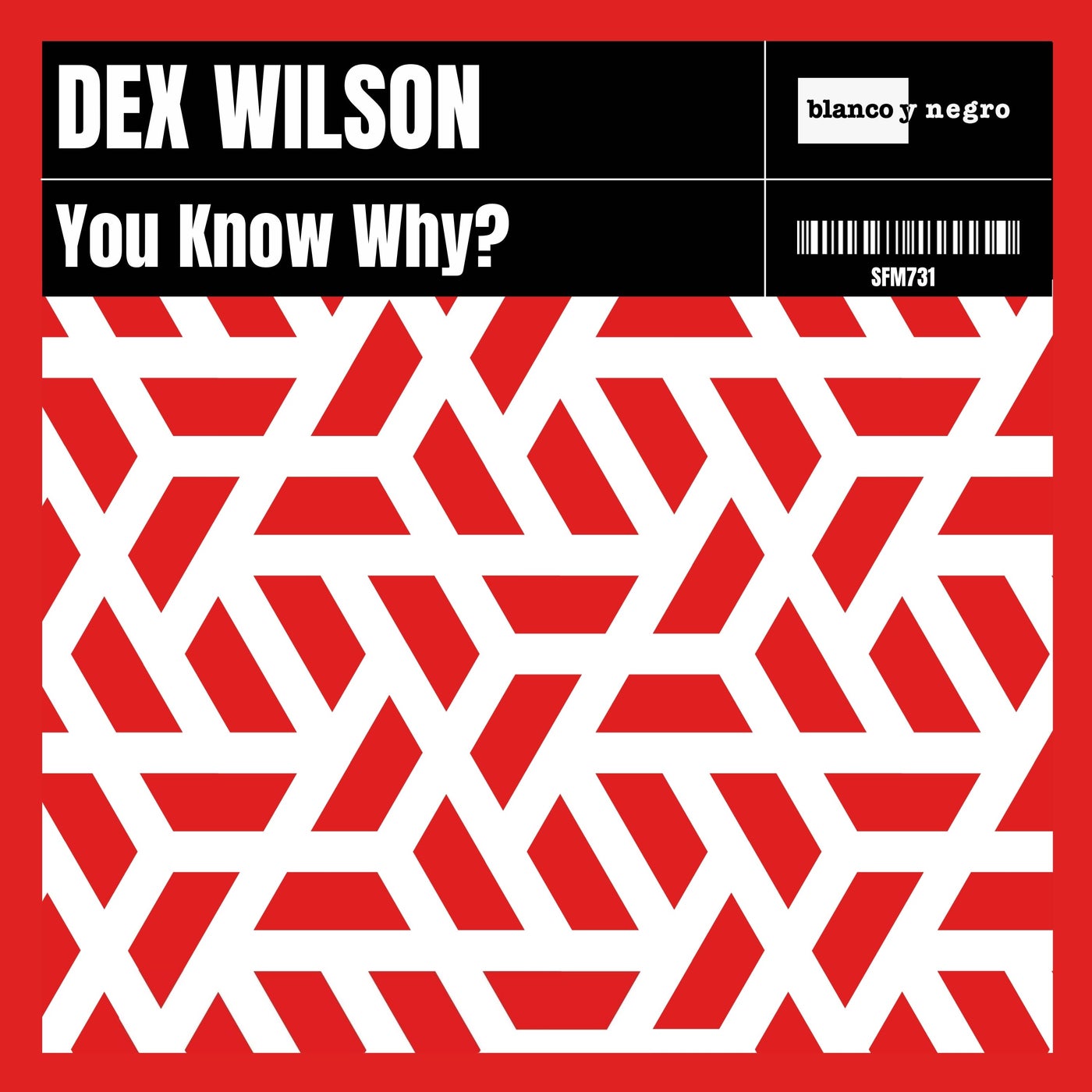 You Know Why? (Extended Mix)