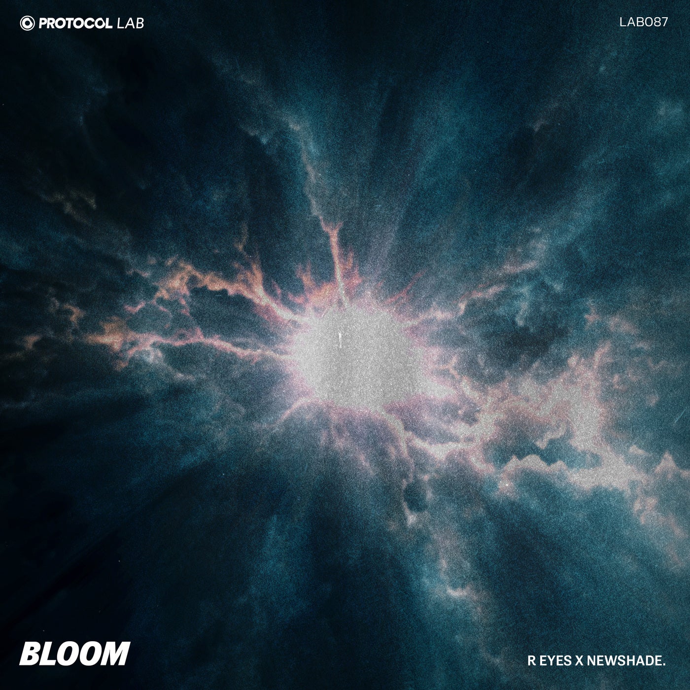 Cover art for Bloom