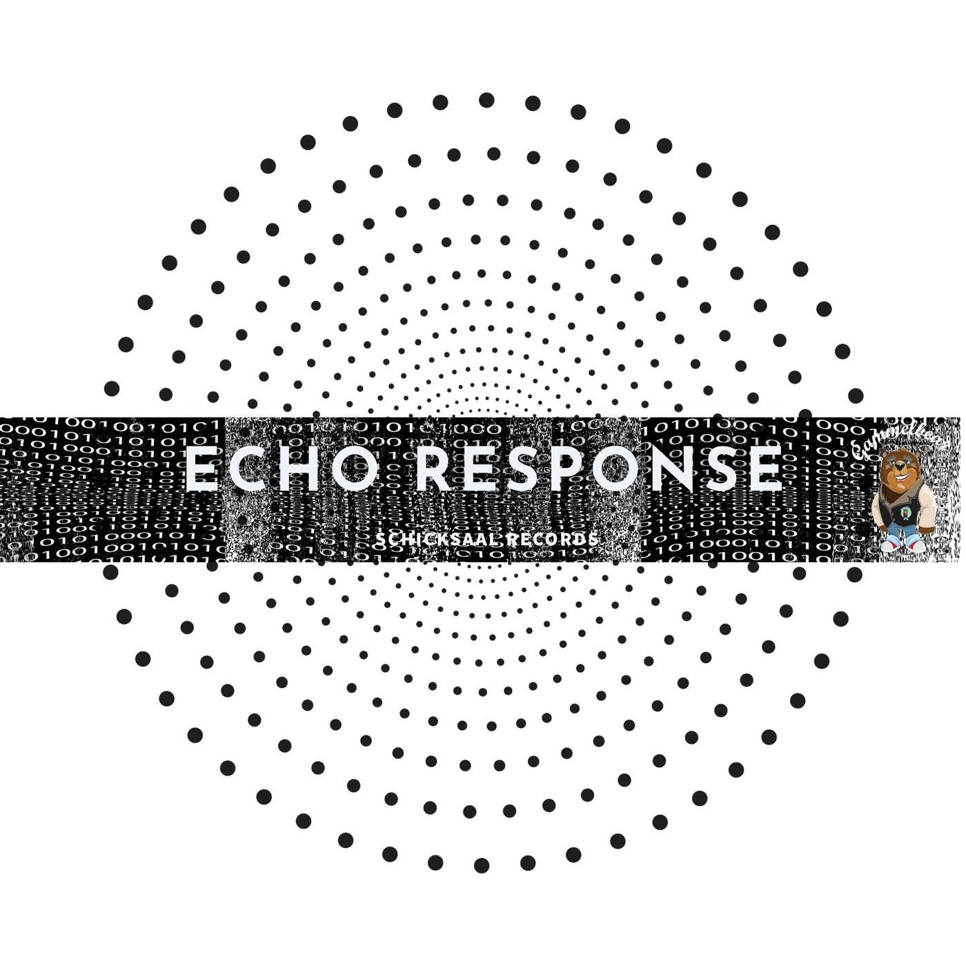 Echo Response