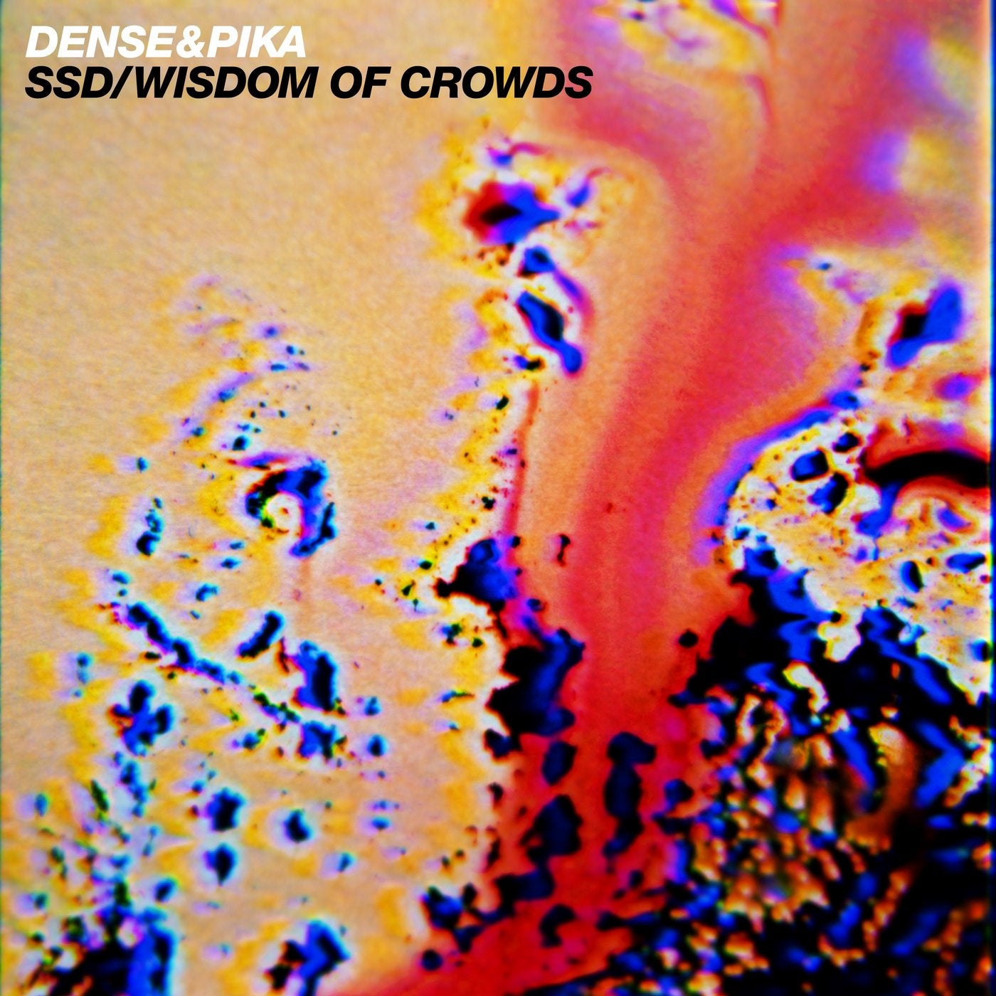 SSD / Wisdom Of Crowds