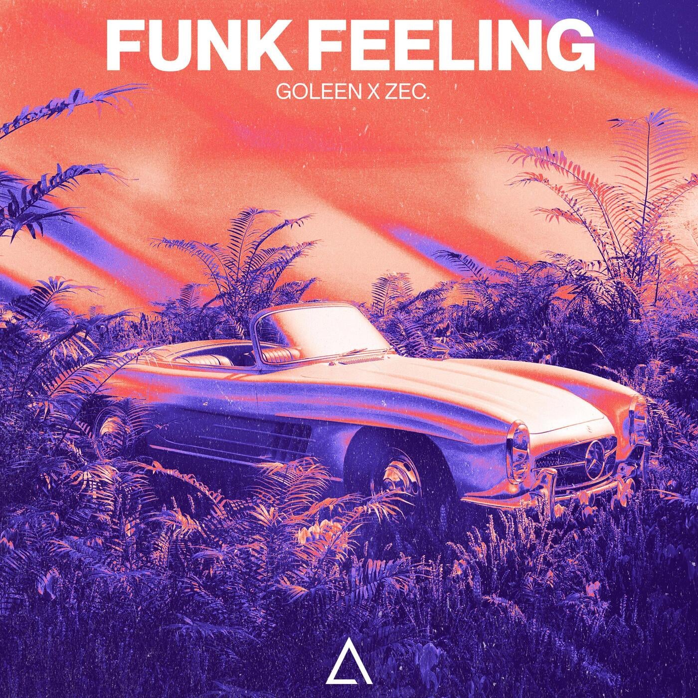 Funk Feeling (Extended Mix)