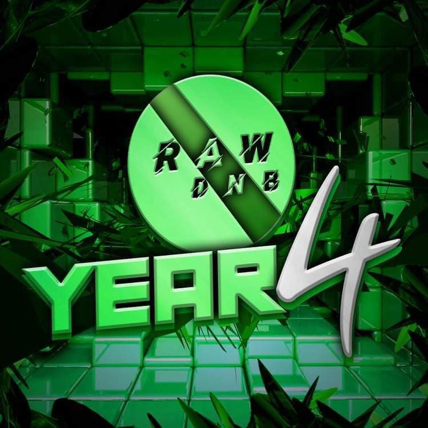 RAWDNB YEAR 4