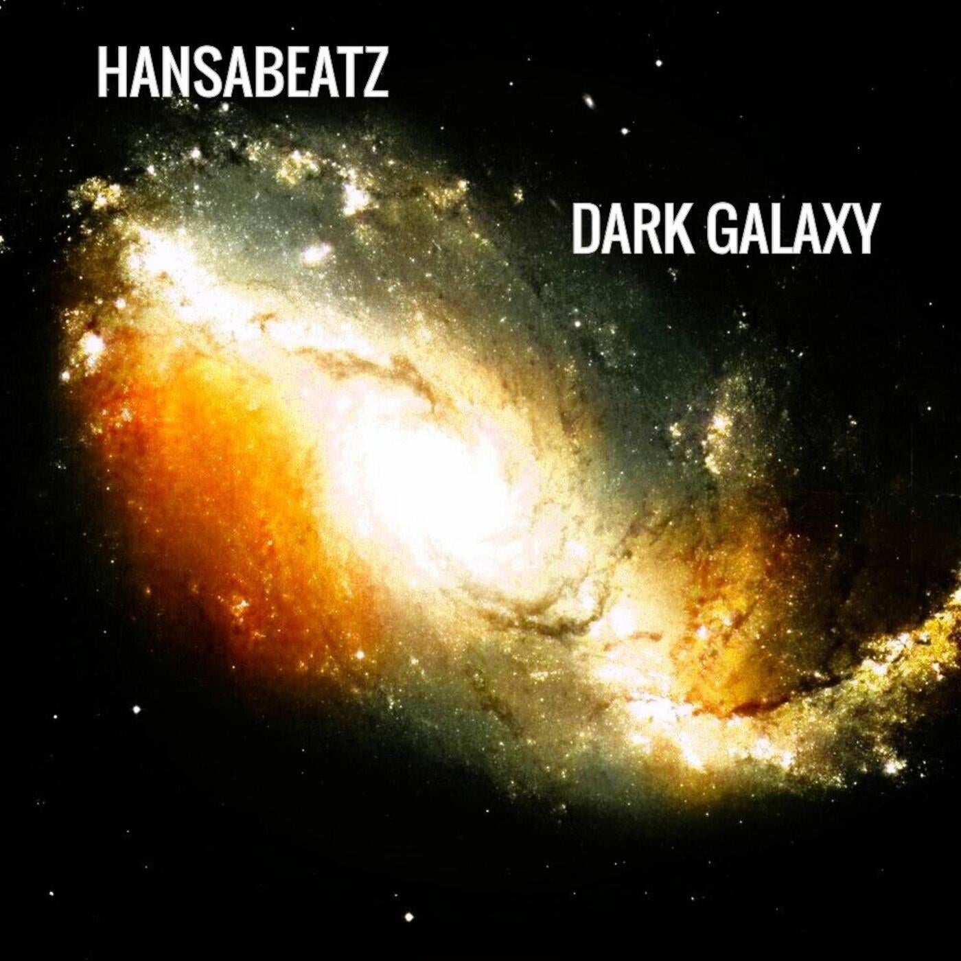 Dark Galaxy