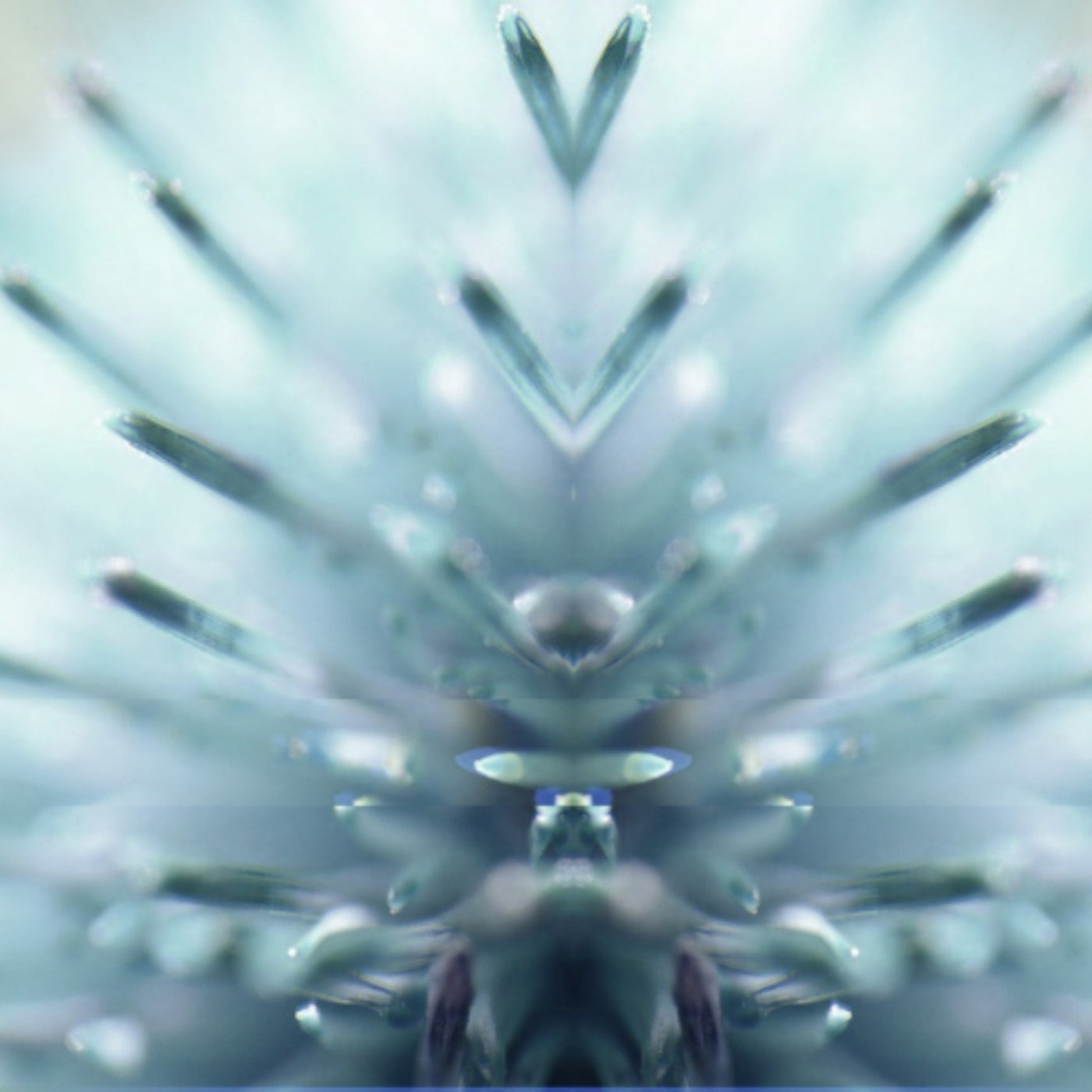Textural Radiation