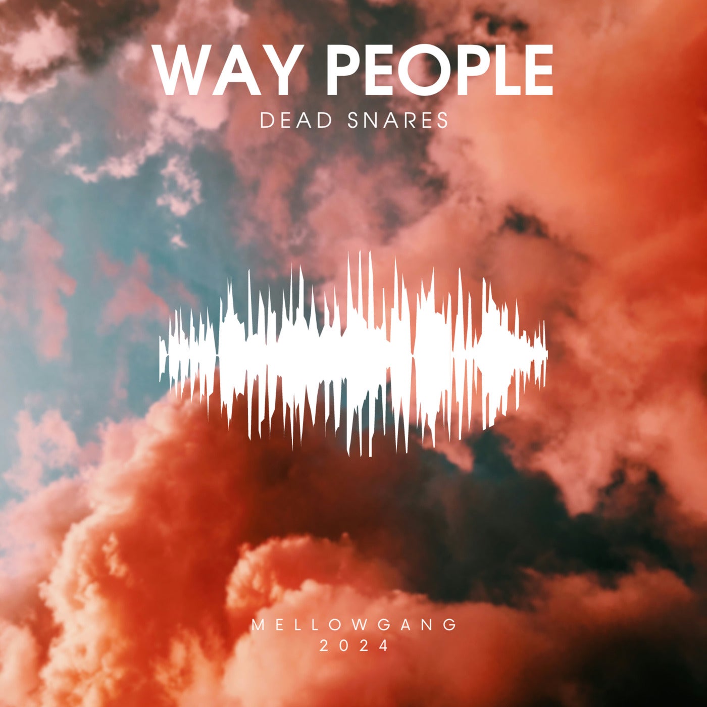 Dead Snares - Way People [MellowGang] | Music & Downloads on Beatport