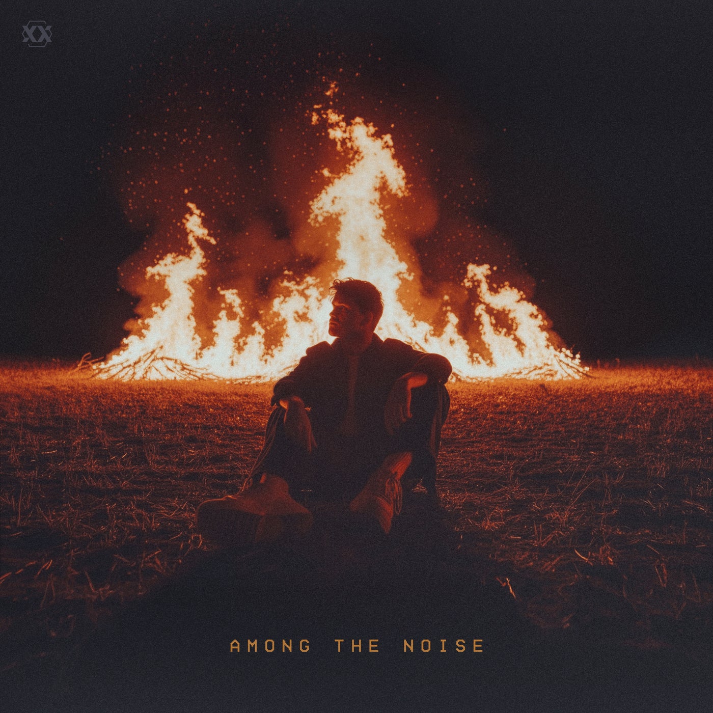Cover art for Among The Noise