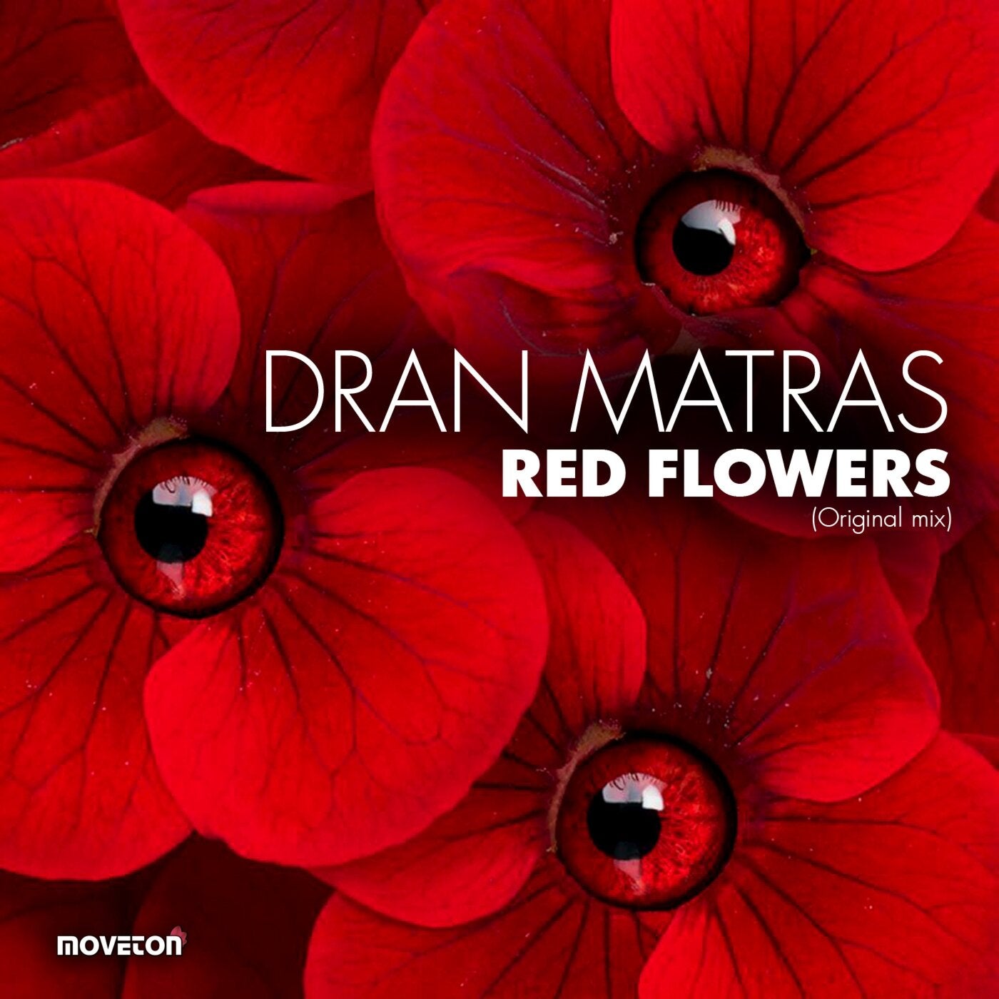 Red Flowers