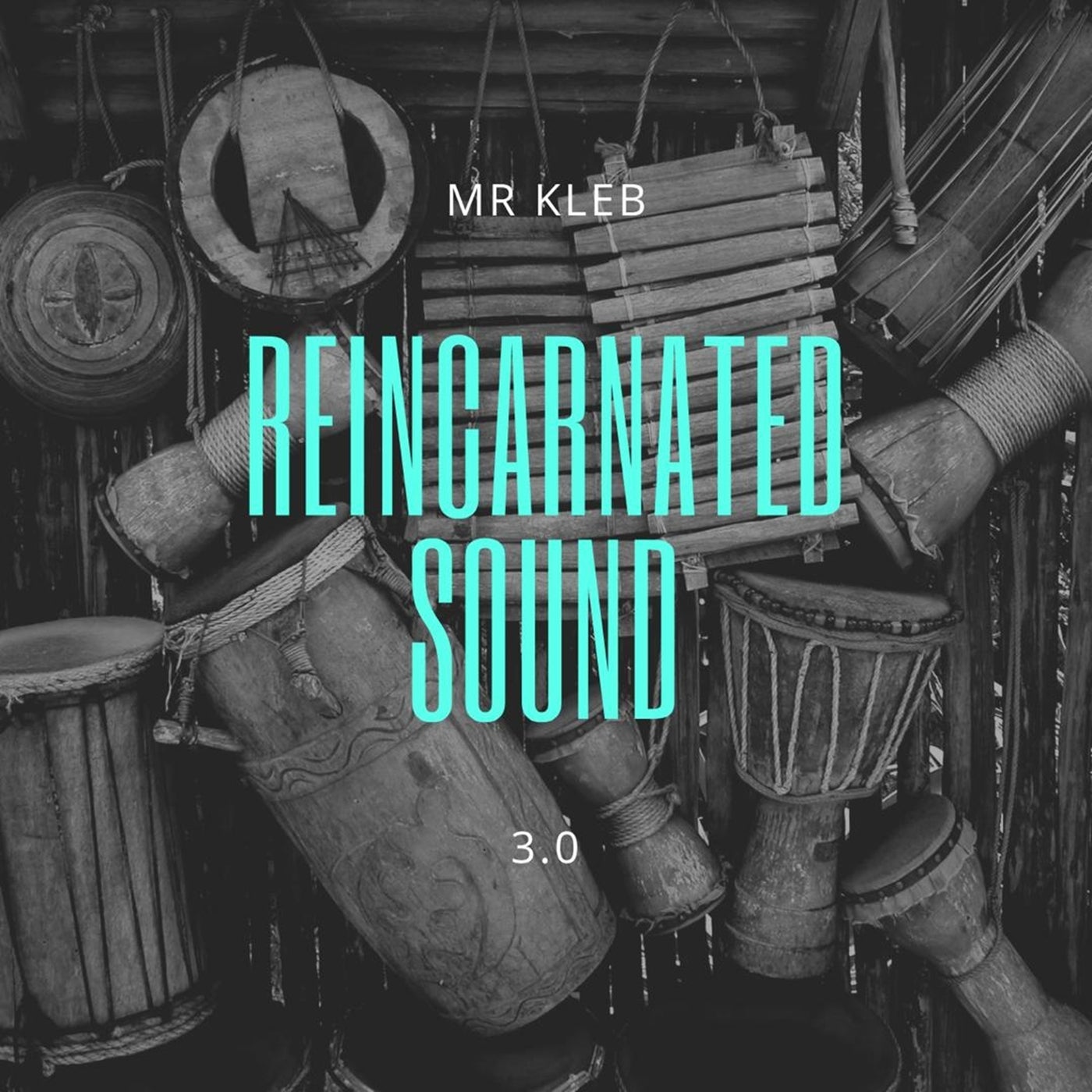 Reincarnated Sound 3.0