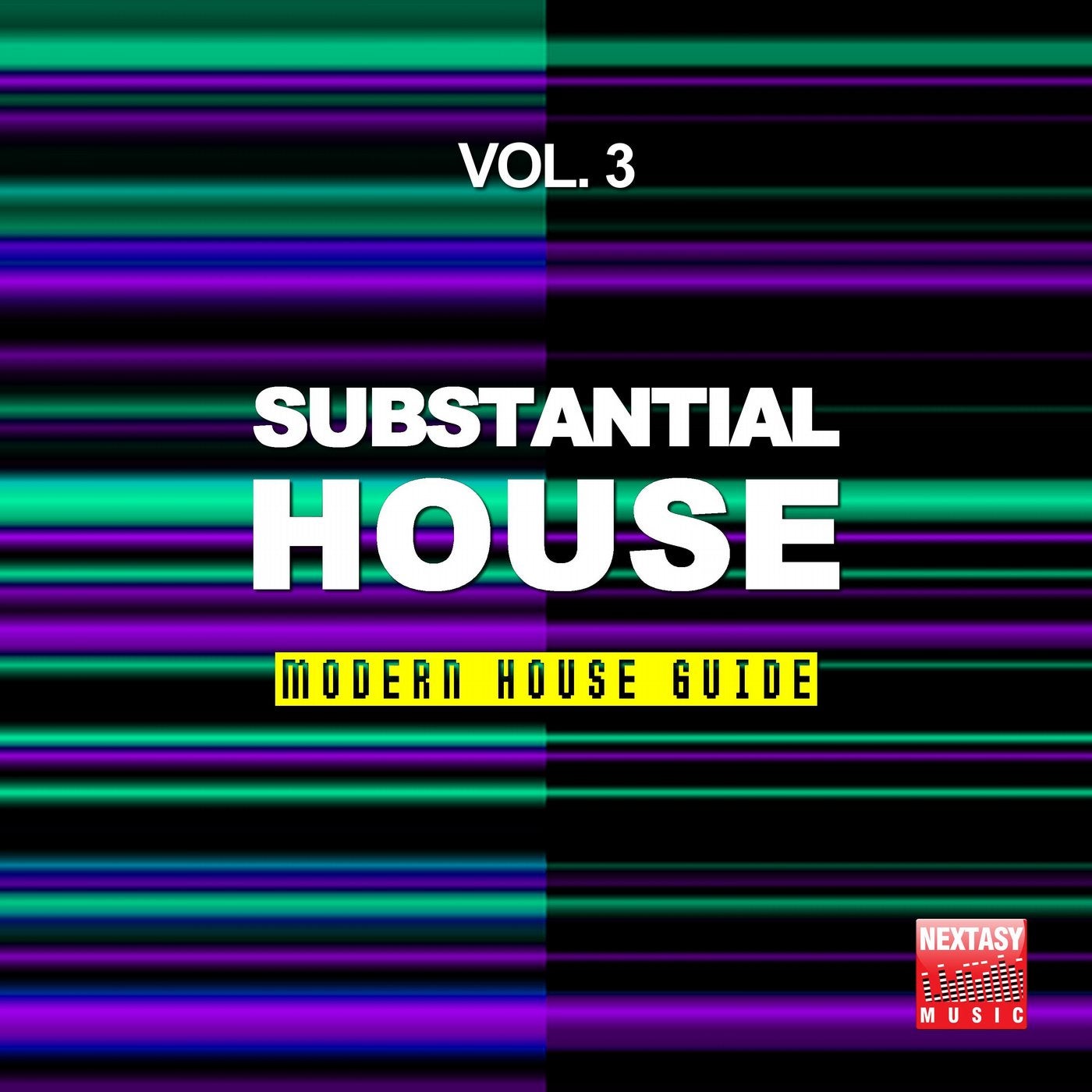 Substantial House, Vol. 3 (Modern House Guide)