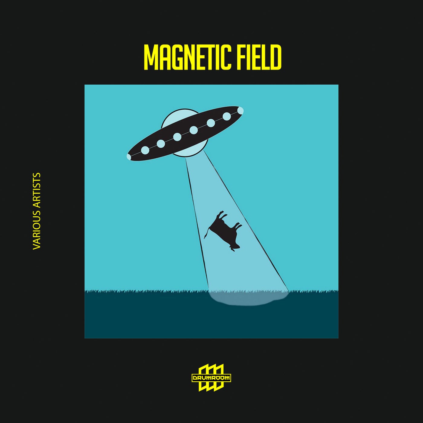 Magnetic Field