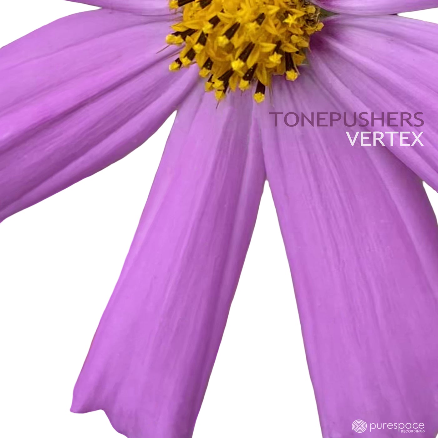 Vertex