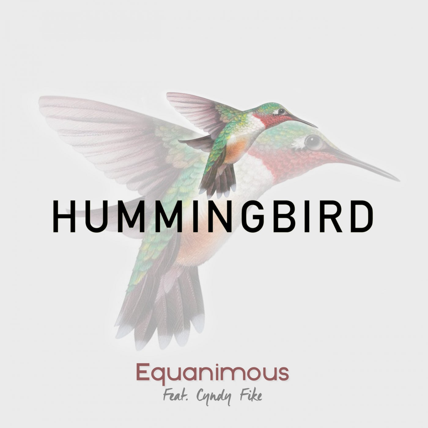 Hummingbird